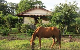 Finca Lindos Ojos
