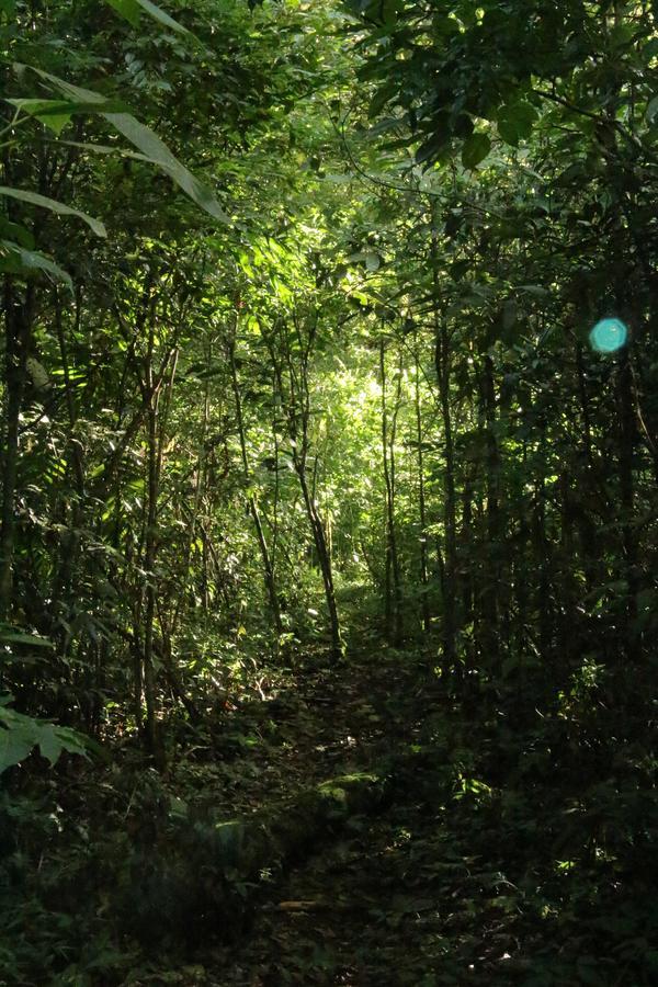 Finca Lindos Ojos Estelí Exterior foto